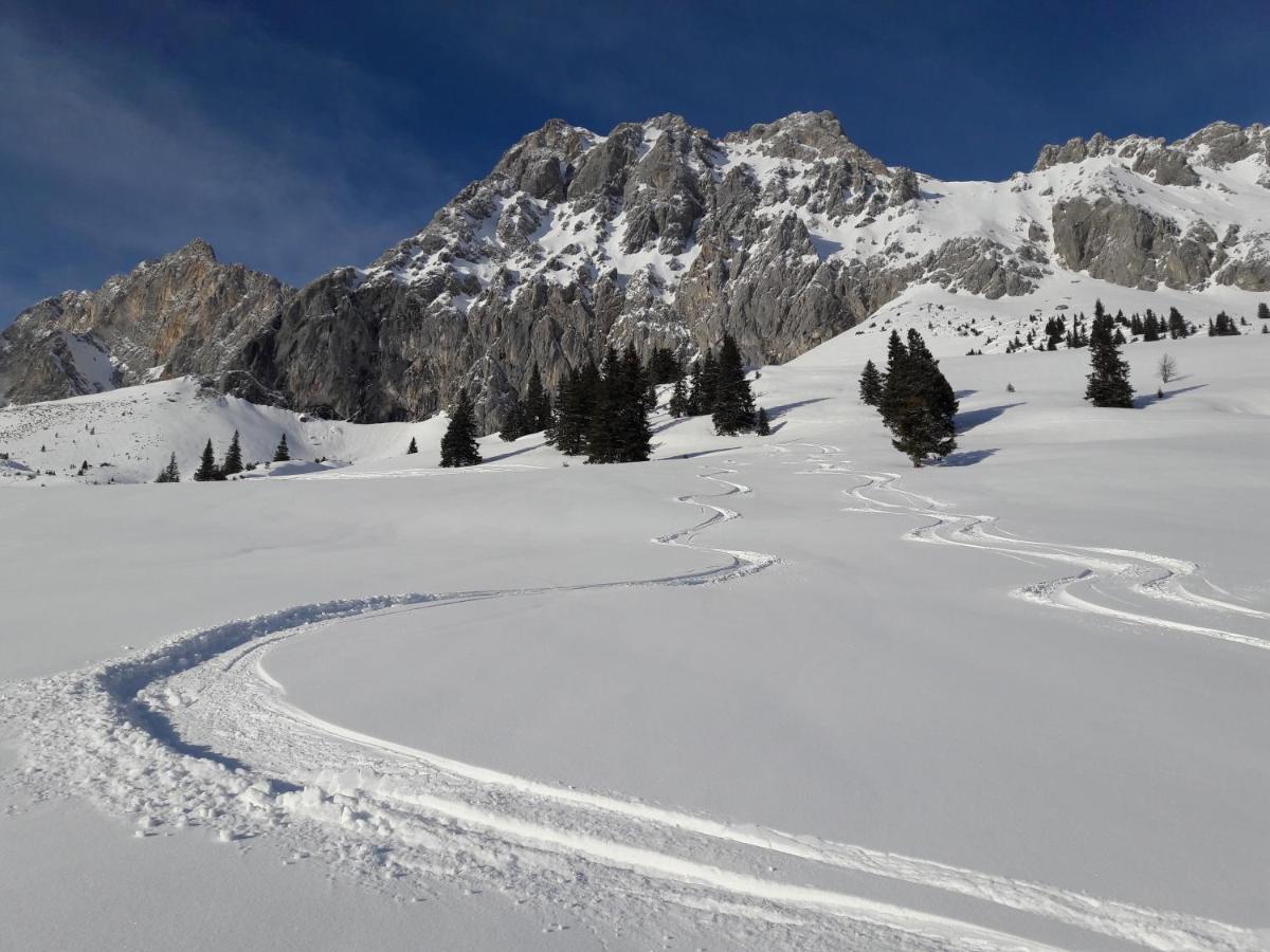 Appartement Gipfelblick- Tiroler Zugspitze Arena In Бибервир Экстерьер фото